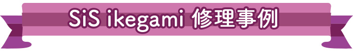 SiS ikegami 池上工業　修理事例